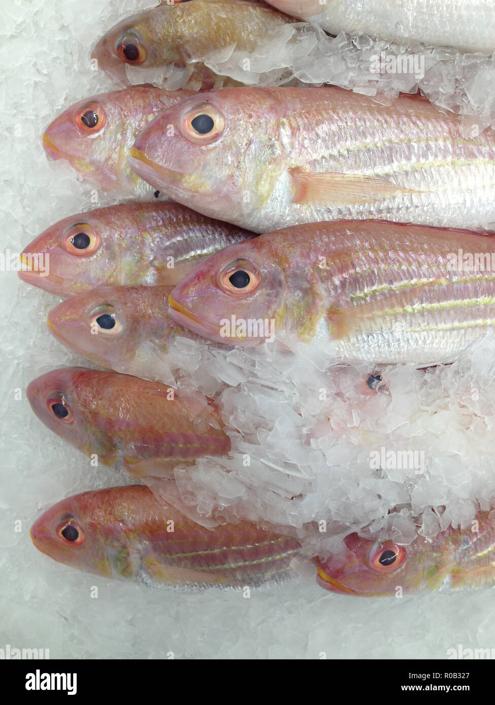 Fresh fish on ice in the market Stock Photo - Alamy