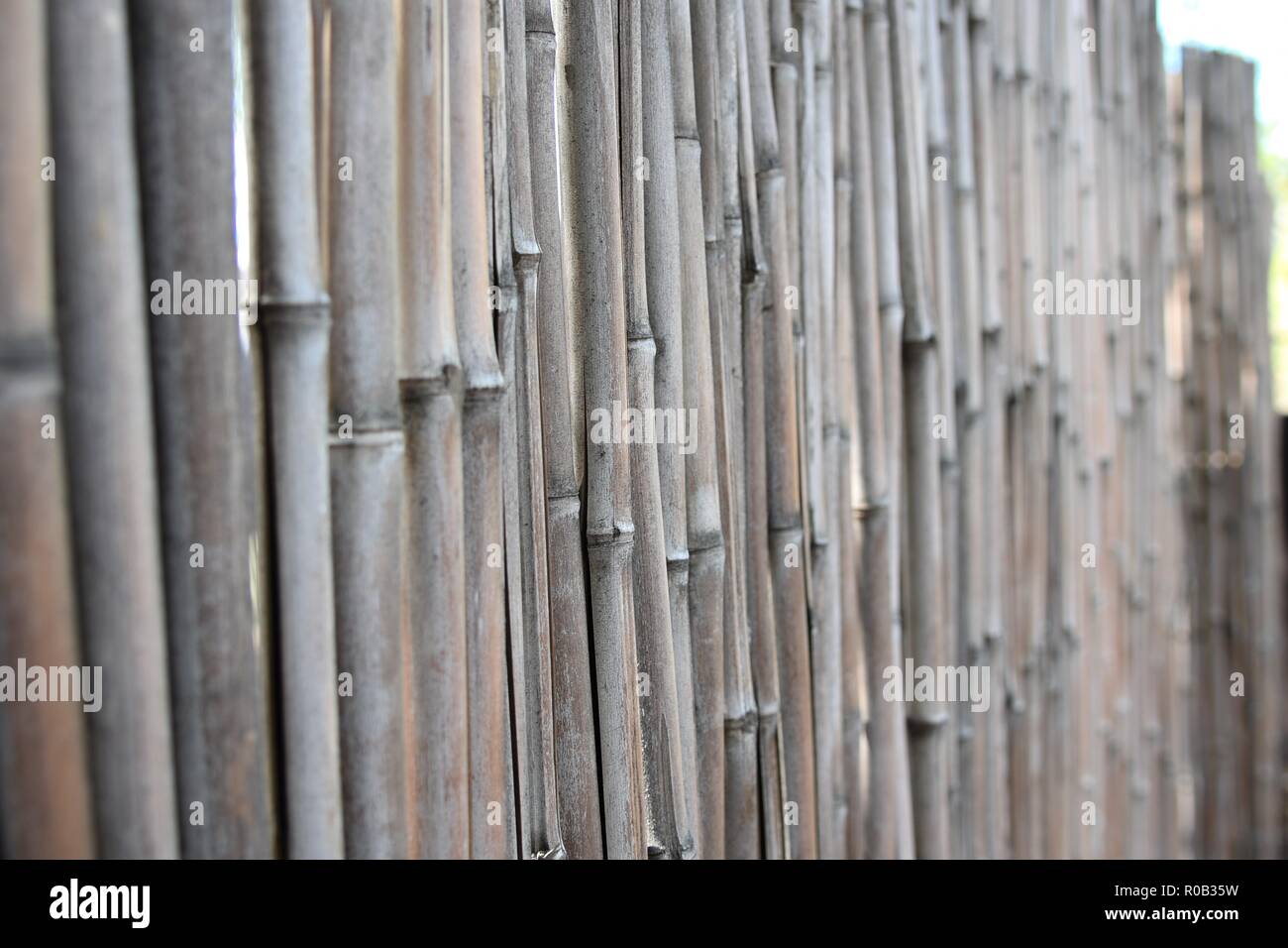 decorative bamboo fence Stock Photo Alamy