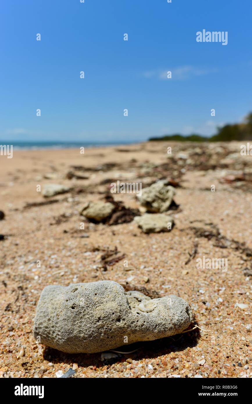 Dead coral on a beach, Balgal beach, QLD, Australia Stock Photo