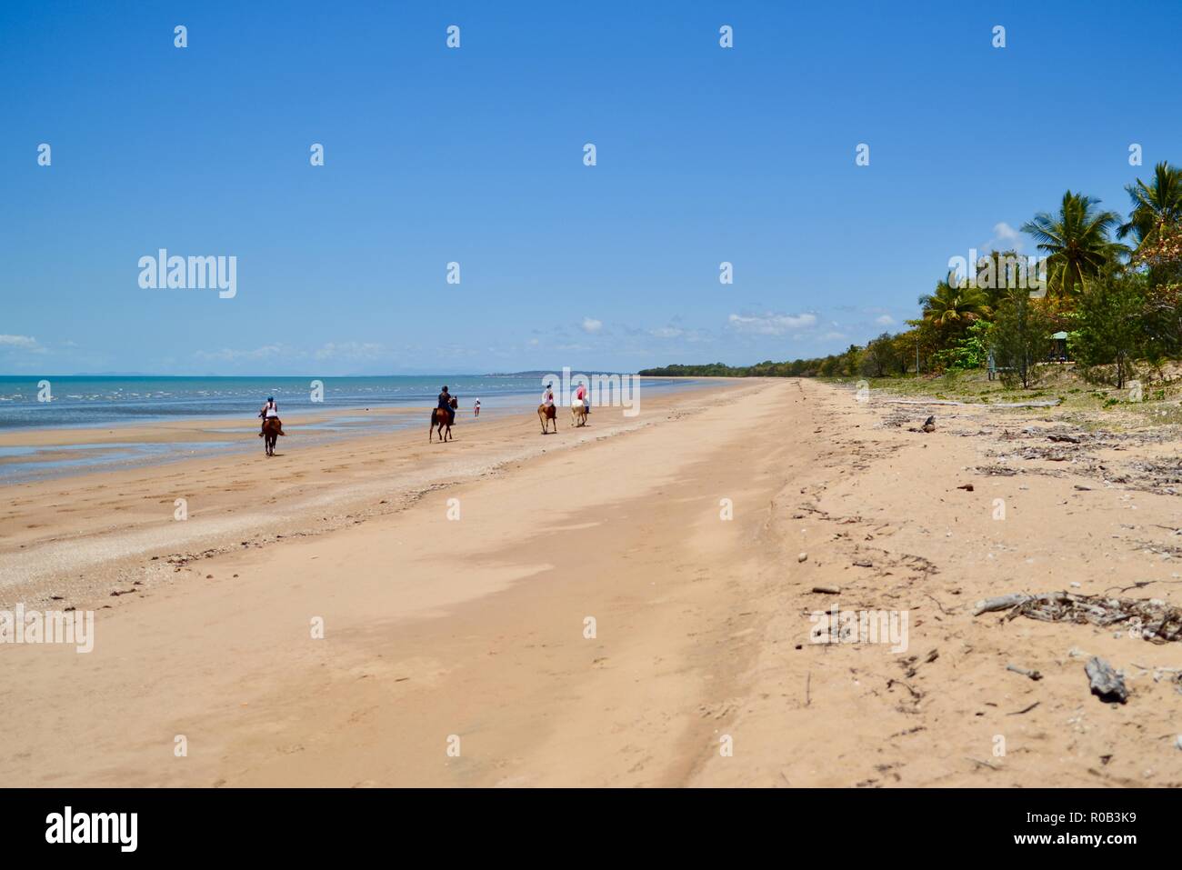 People riding horses riding on a beach, Balgal beach, QLD, Australia