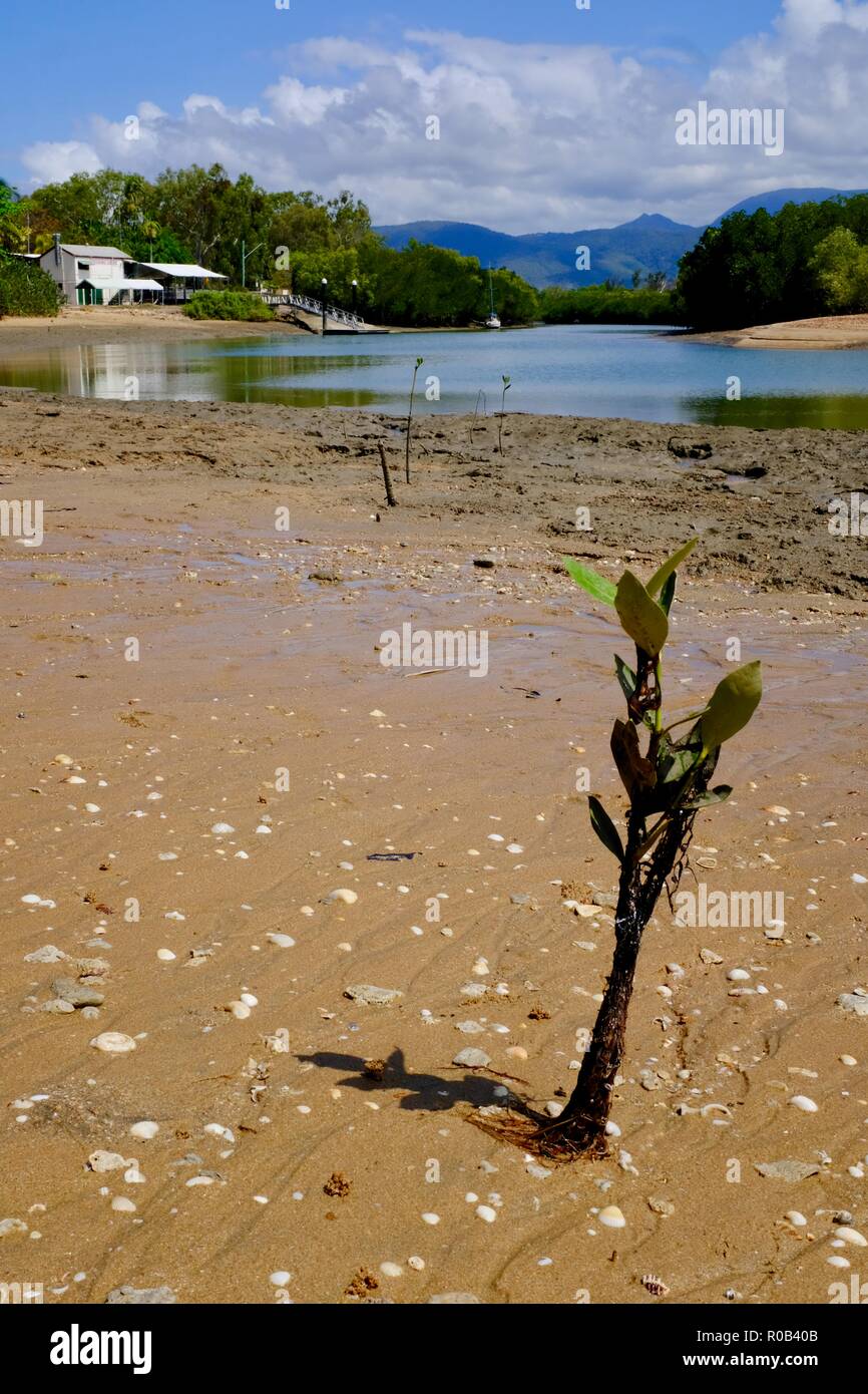Balgal beach, QLD, Australia Stock Photo Alamy