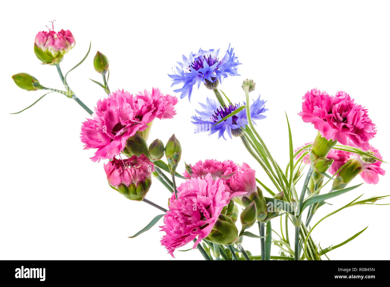 Bouquet of pink and blue garden flowers isolated on a white background ...