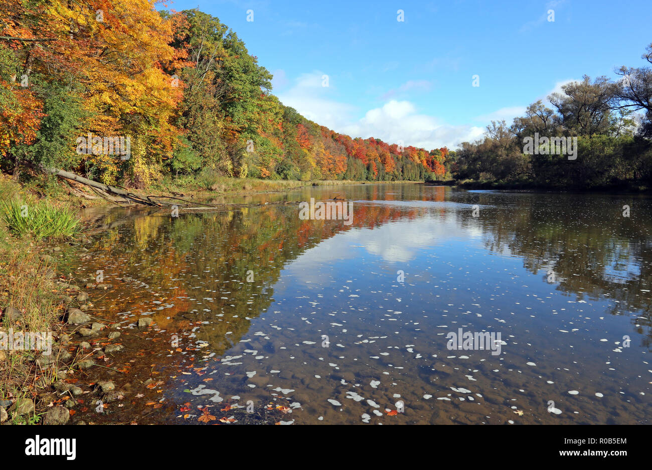 The Grand River with the fall colours reflecting in it. Shot in Kitchener, Ontario, Canada. Stock Photo