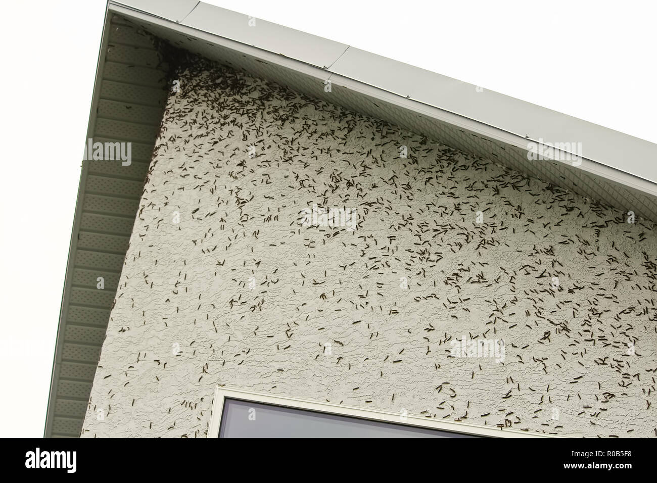 Butterfly Roof House High Resolution Stock Photography And Images Alamy