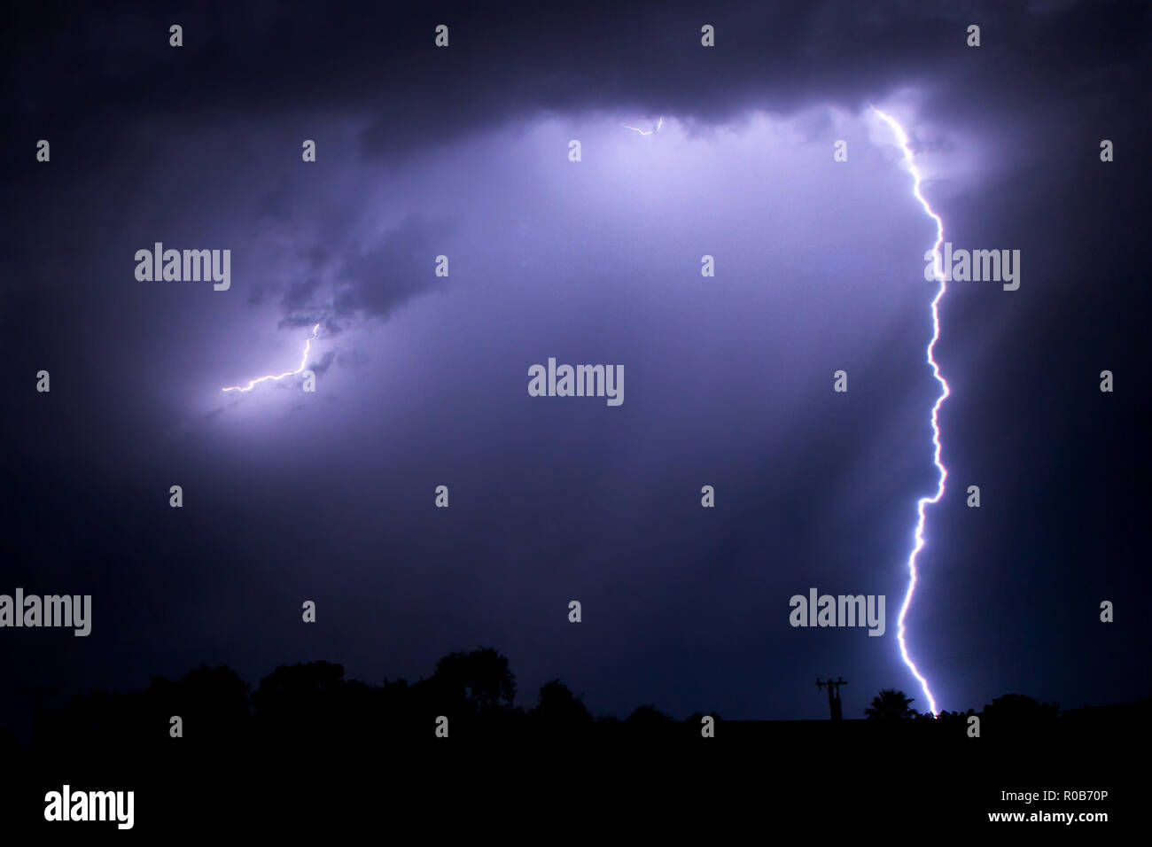 Single Purple Lightning Bolt - Silhouette Of Trees and Telephone Pole At Bottom Showing Scale Stock Photo