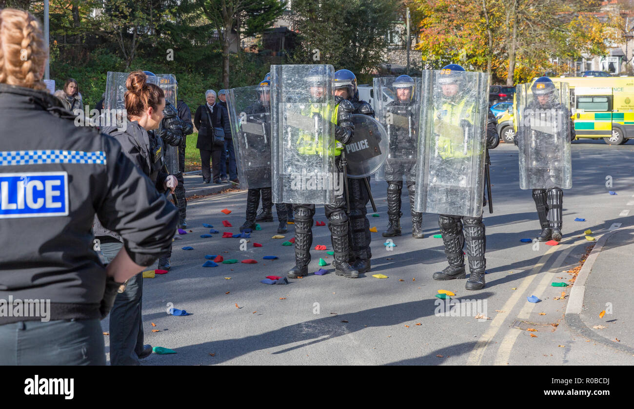 A Demonstration to the public of riot police tactics at a police open ...