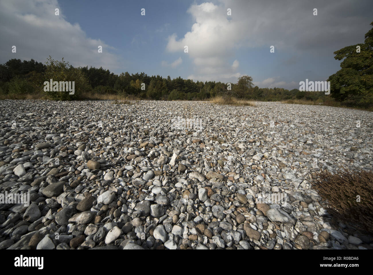A thick layer of flintstones was deposited some thousand years ago near Neu-Mukran on Rügen Island. Stock Photo