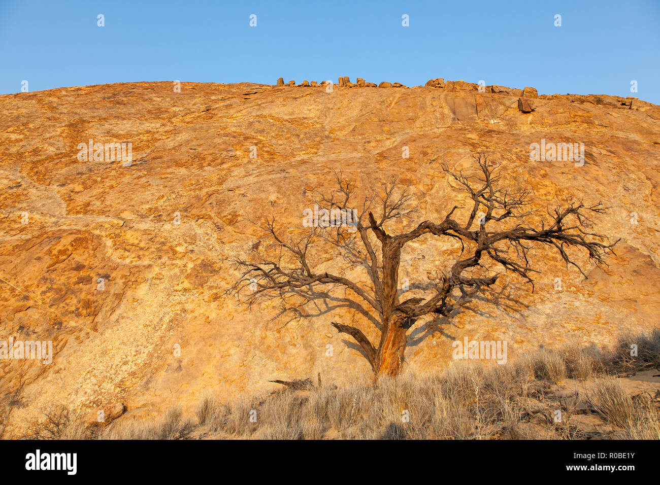 Exploring the desolation of Damaraland in Namibia Stock Photo - Alamy