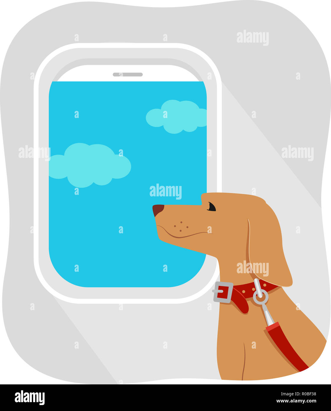 How Do You Travel With A Dog On A Plane