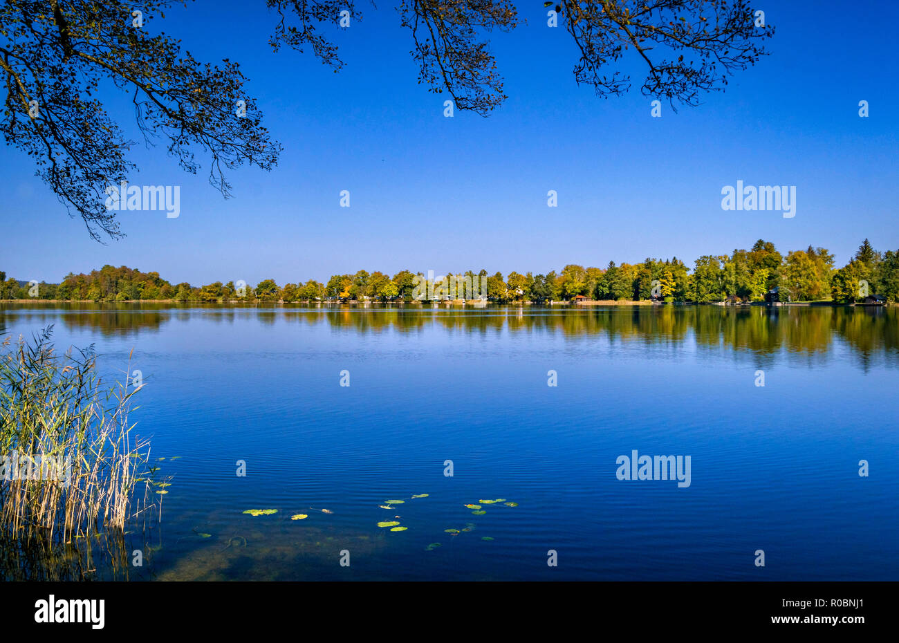 Staffelsee Lake near Murnau, Seehausen, Blaues Land, Upper Bavaria, Bavaria, Germany, Europe Stock Photo