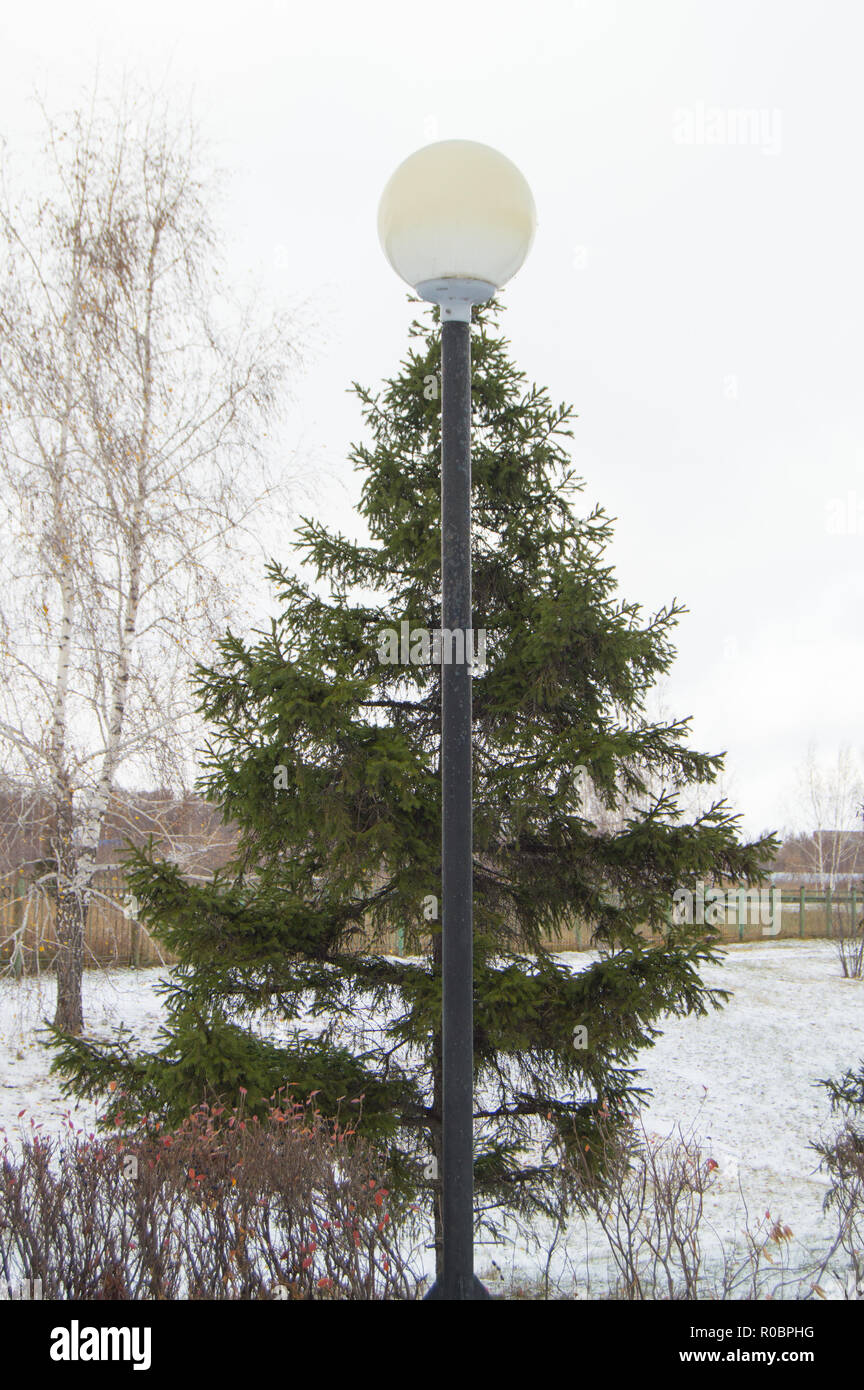 Funny picture - the lamppost with a white canopy on the top of the tree spruce tree winter in the Park Stock Photo