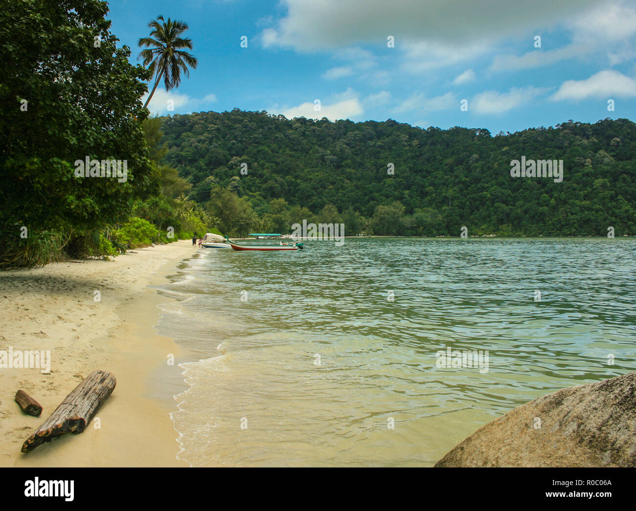 Monkey Beach, Tanjung Bungah beach, Penang (Pulau Pinang), Malaysia