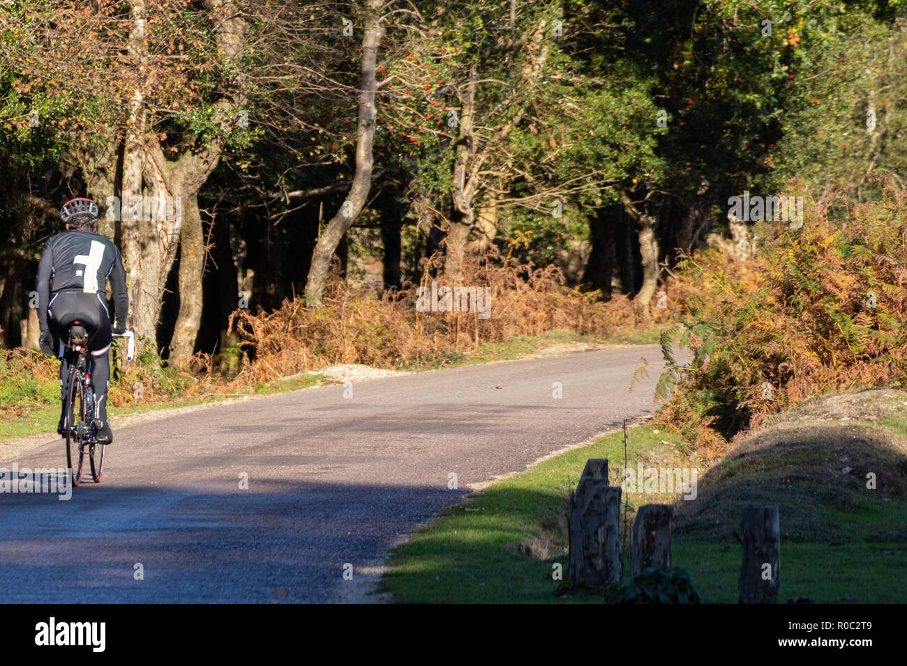 a single Cyclist riding on the country roads in the New forest Stock Photo