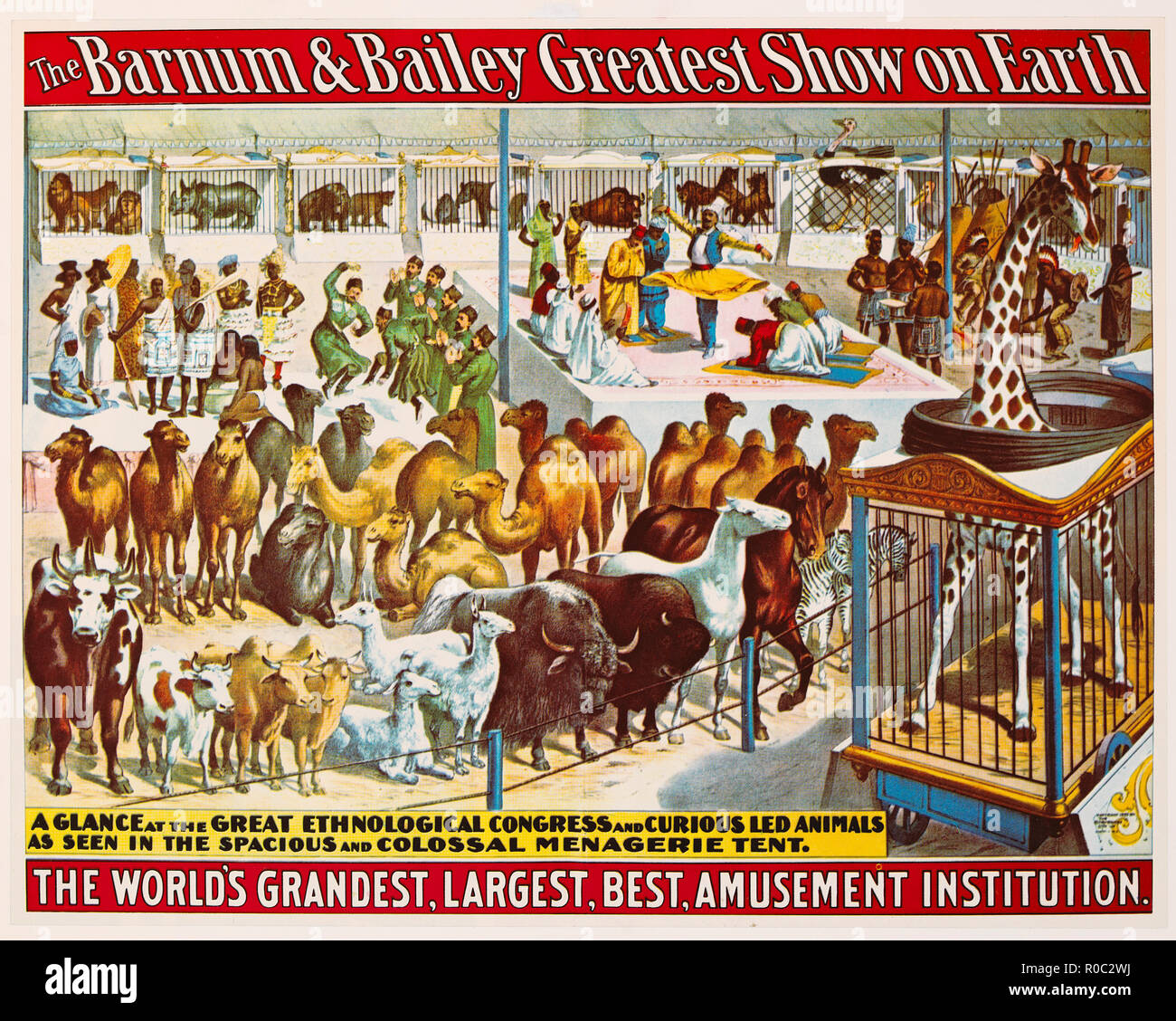 The Barnum & Bailey Greatest Show on Earth, The World's Grandest, Largest, Best Amusement Institution, Great Ethnological Congress and Curious Led Animals, Circus Poster, Lithograph, 1895 Stock Photo