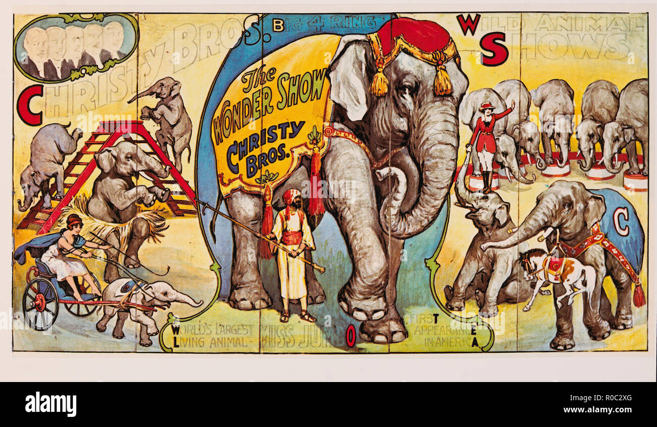 Jumbo elephant poster circus hi-res stock photography and images - Alamy