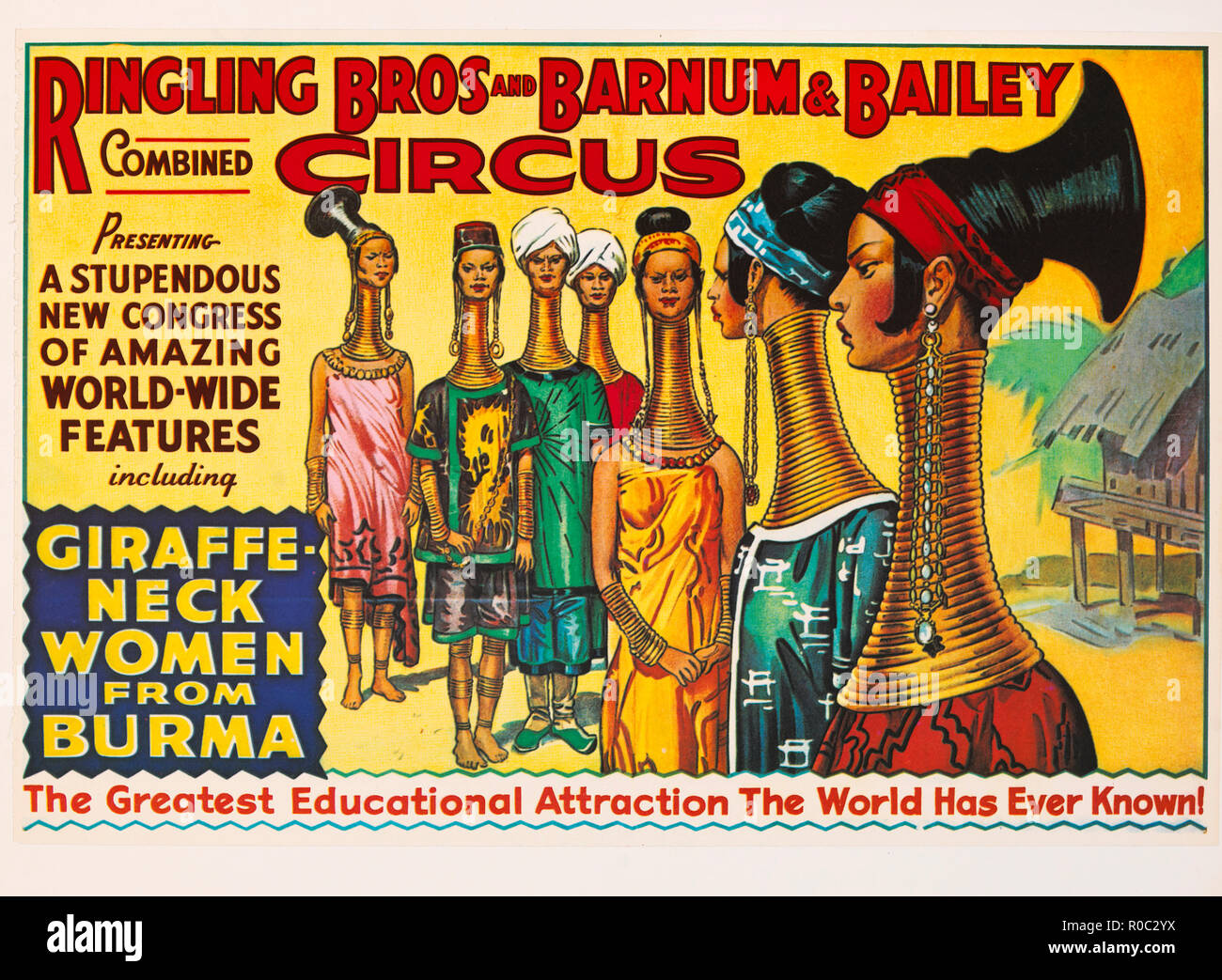 Ringling Bros And Barnum Bailey Combined Circus Giraffe Neck
