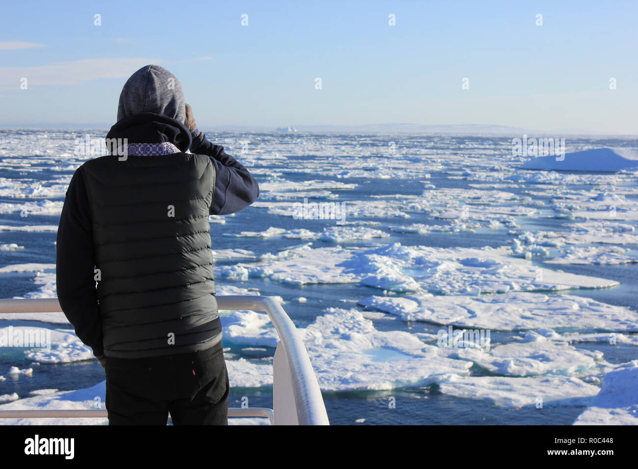 Gazing At Ice Floes in the Davis Strait, east coast Baffin Island, Canada viewed from the CCGS Amundsen Stock Photo