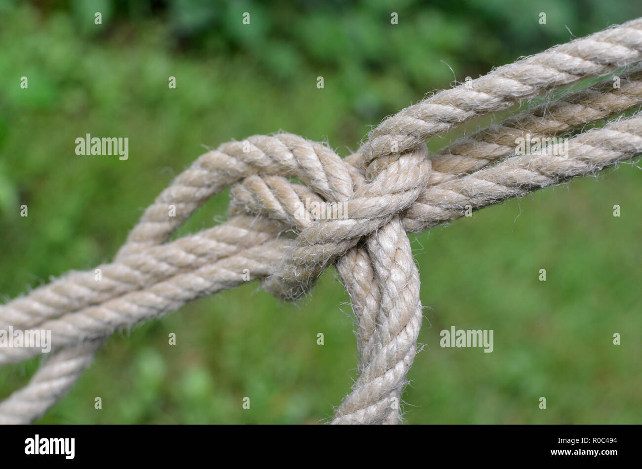 A piece of knotted rope securing a large field tent. Rope close up shot