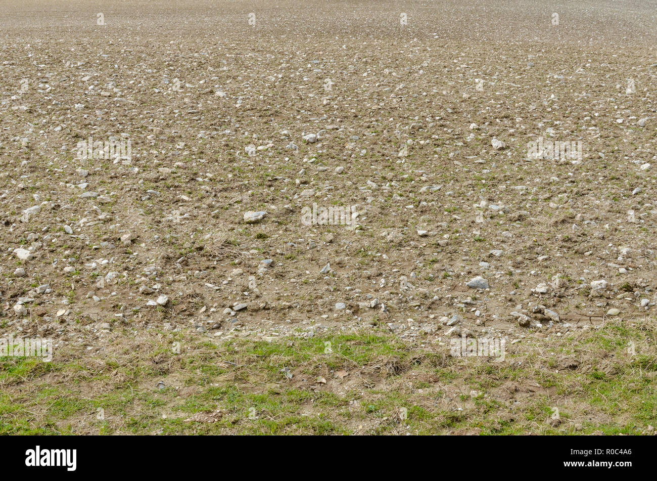 Very stony field - tilled soil after being ploughed and prepared for planting new crop. Ploughed soil texture, soil structure, random concept. Stock Photo