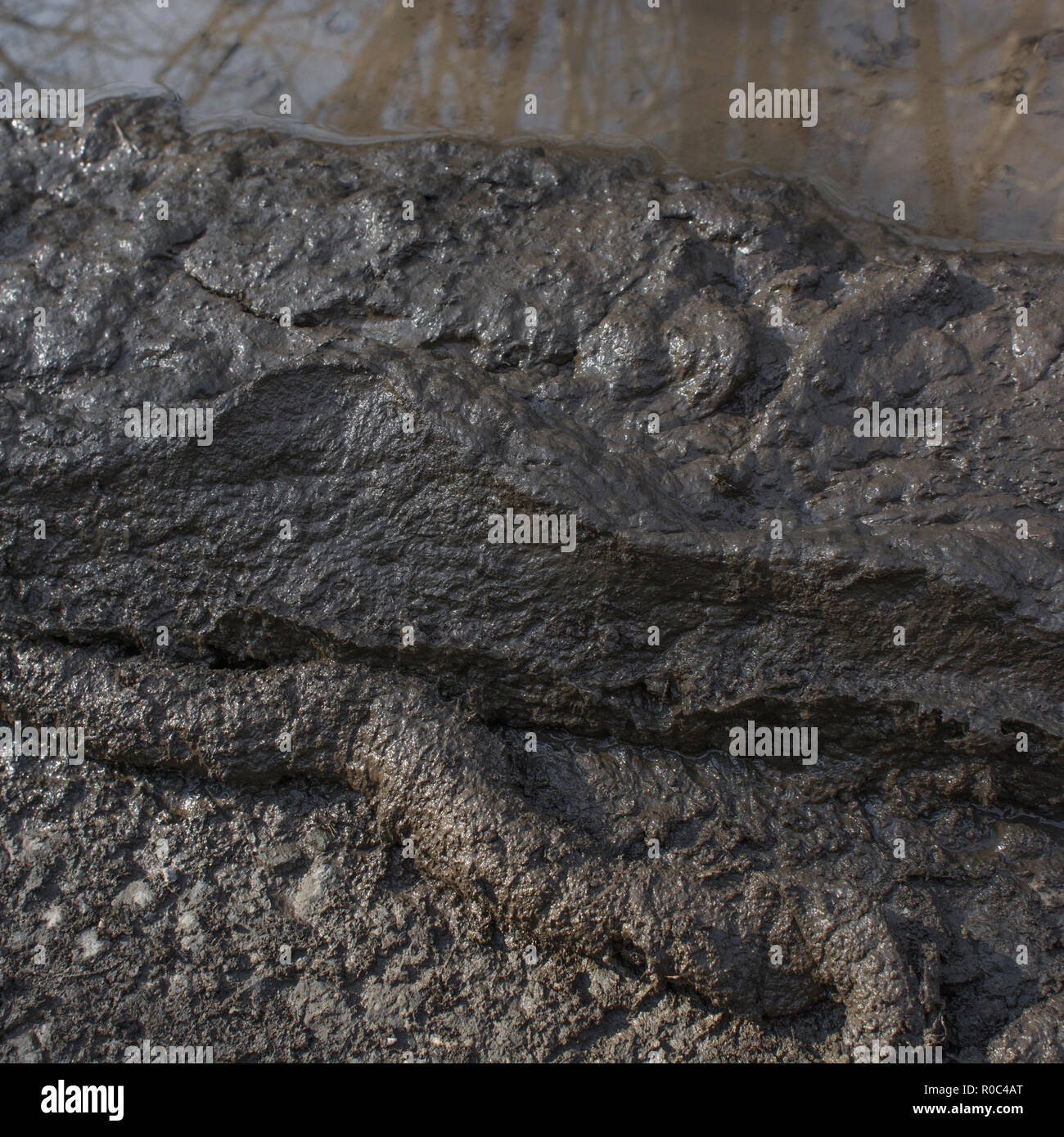 Muddy country road in autumn time. Metaphor 'stick in the mud', muddy