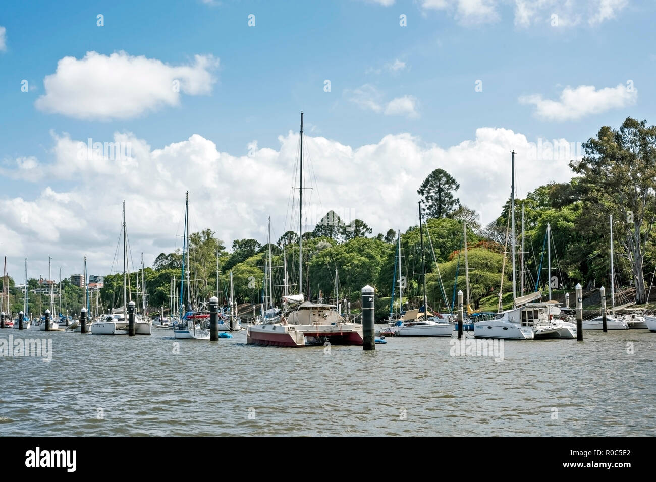 Brisbane botanical gardens pile moorings hi-res stock photography and ...