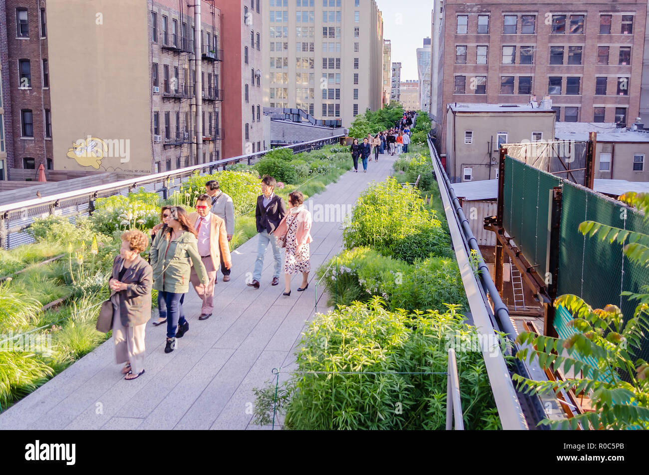 NEW YORK CITY MAY 26 The High Line Park in Midtown Manhattan, New