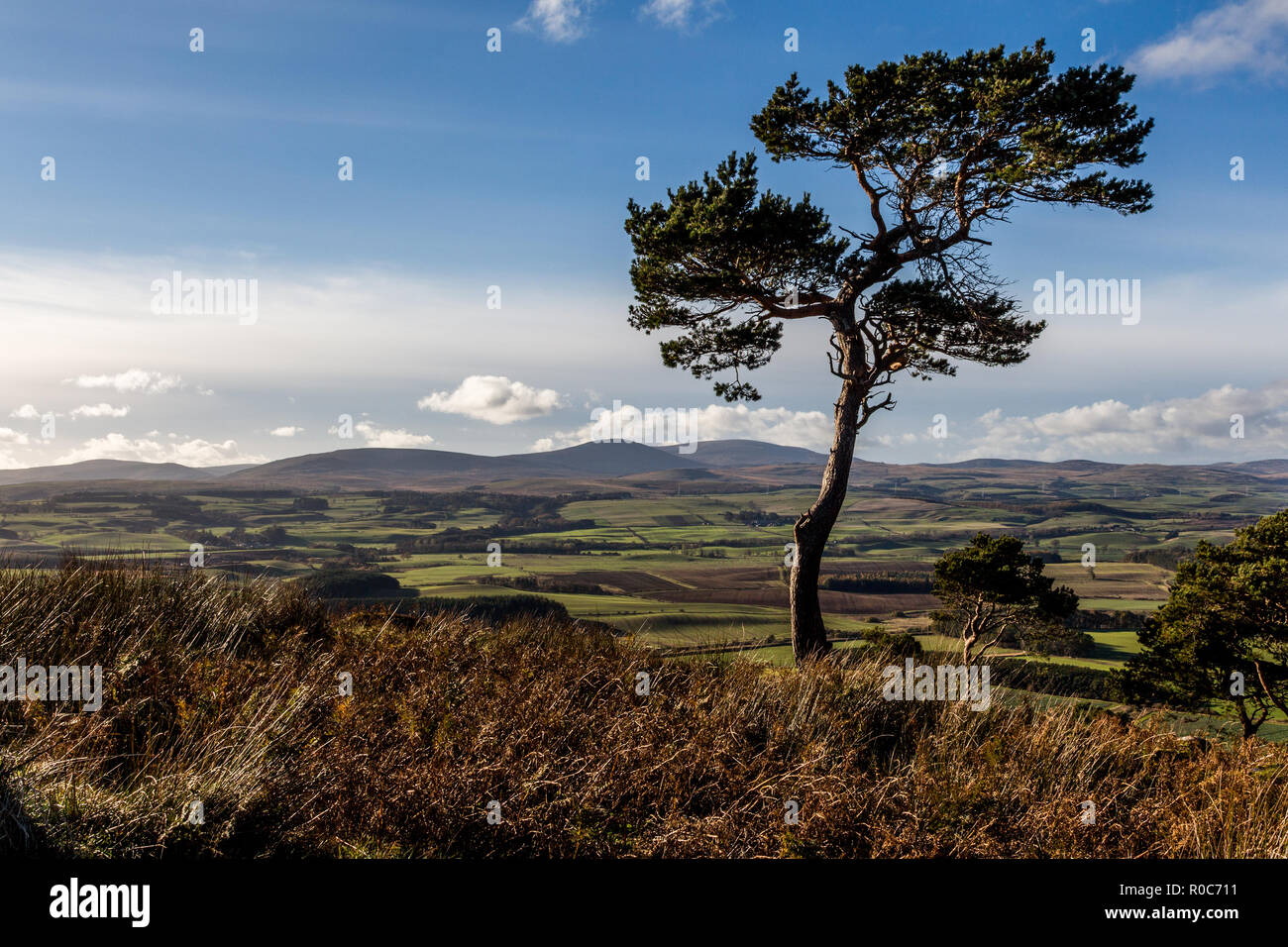 Looking west onto the Cheviot Hills from Old Bewick Hill Fort Stock ...