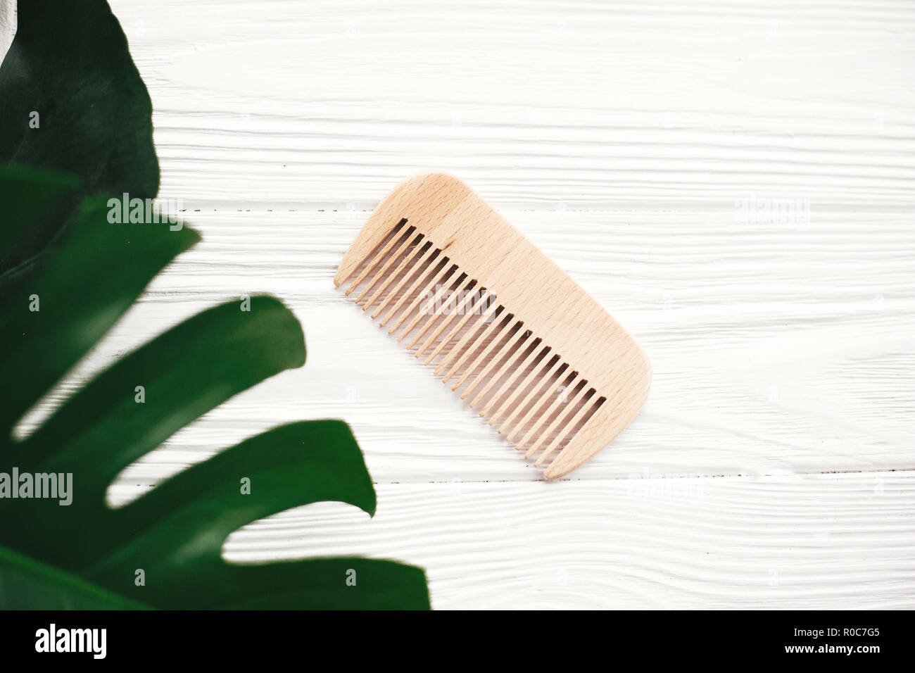 Natural Eco Friendly Bamboo Brush On White Wood With Green