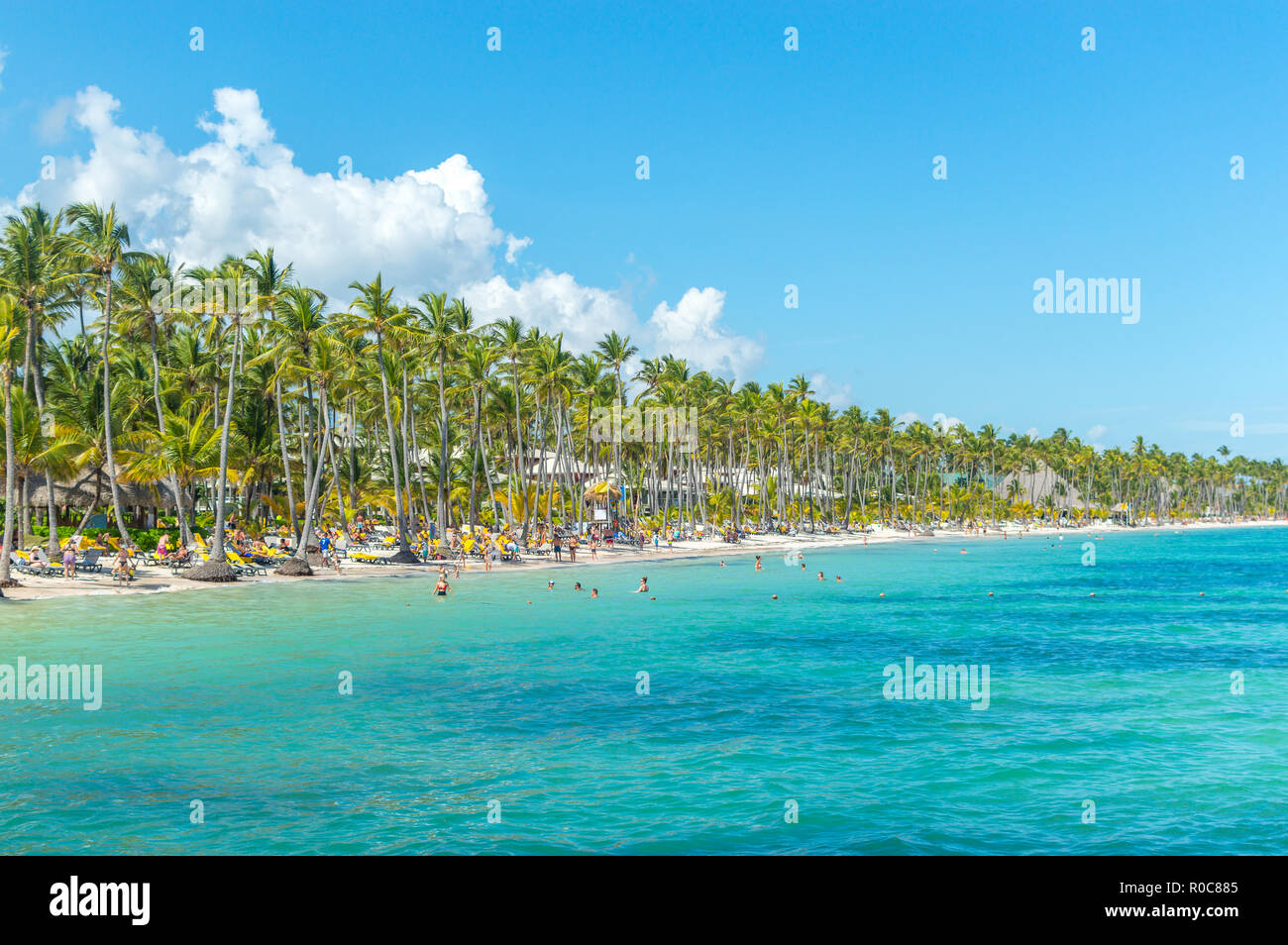 People relax on the beach among palm trees in the resort of Punta Cana ...