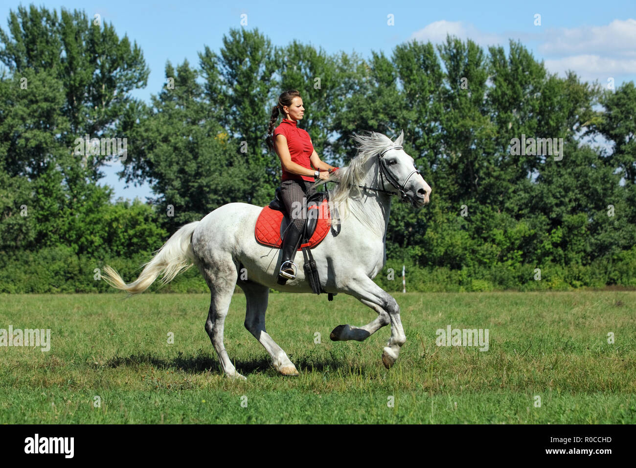 Equestrian training sportswoman with horse Stock Photo