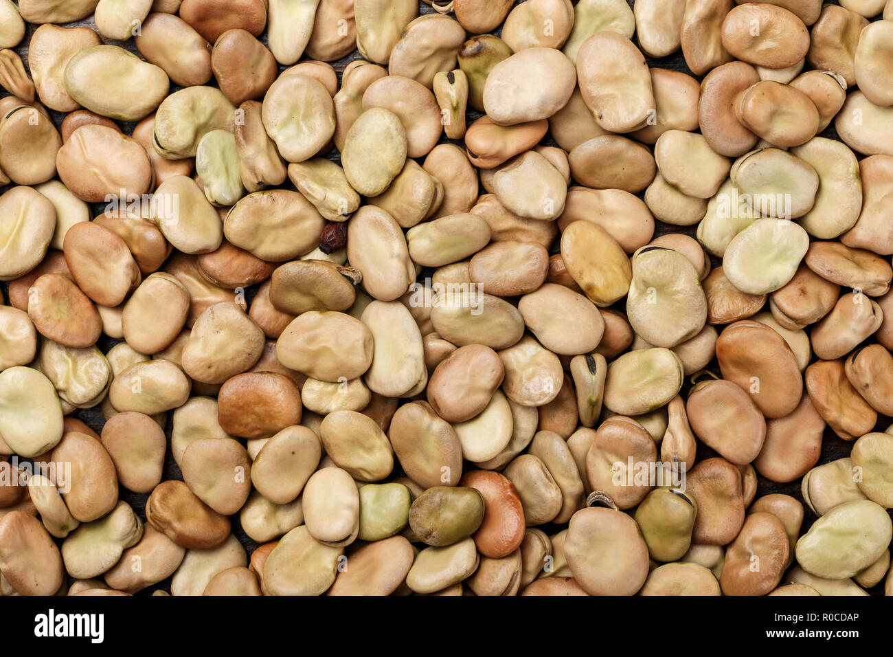 Dried broad beans scattered like a background. space for text Stock Photo