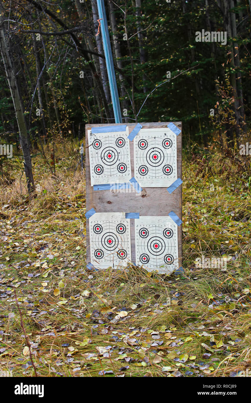 Shooting targets setup on plywood in front of trees Stock Photo
