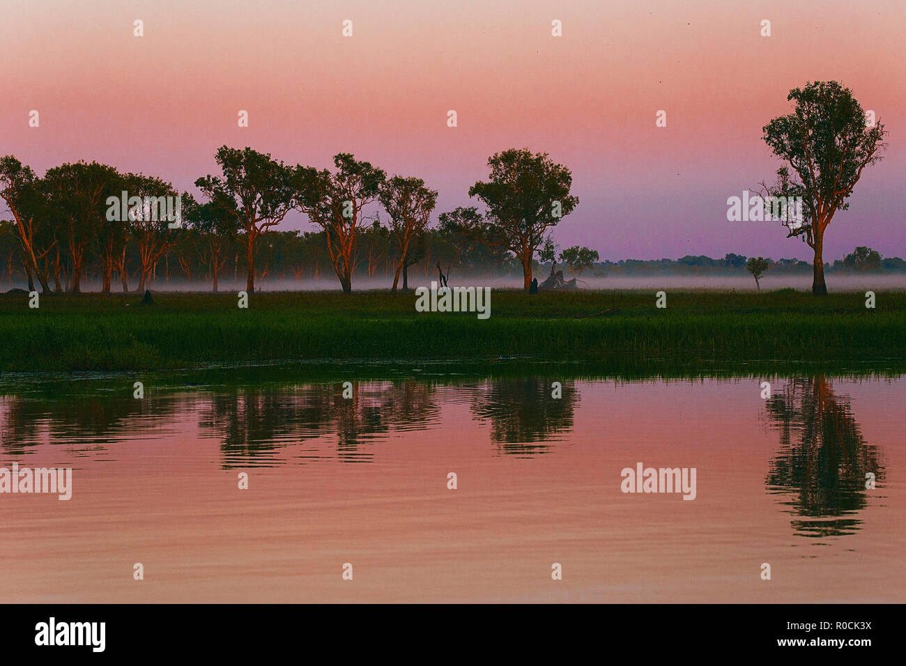 yellow water billabong , kakadu Stock Photo