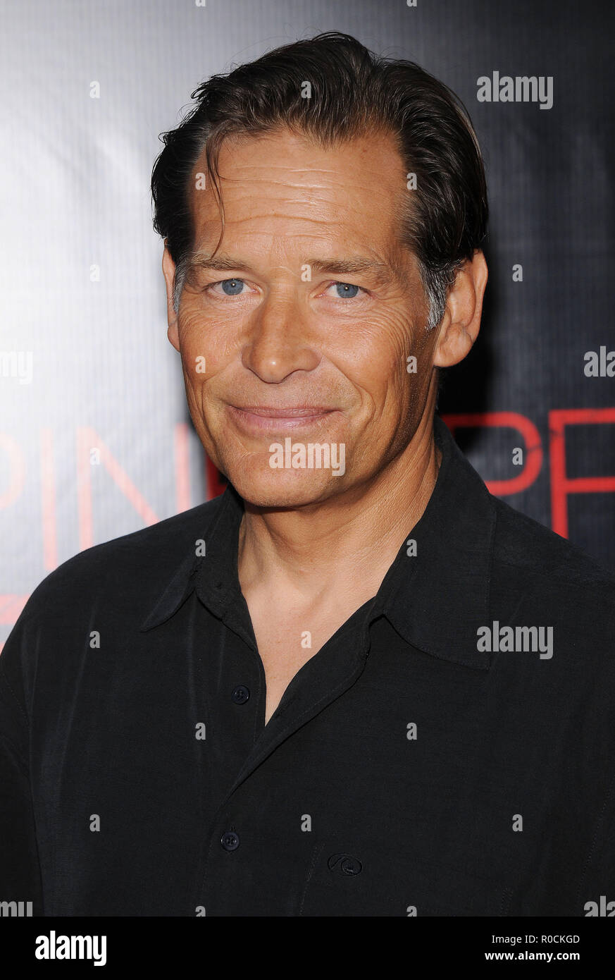 James Remar - Pineapple Express Premiere at the Westwood Village Theatre In  Los Angeles. headshot eye contactRemarJames 14 Red Carpet Event, Vertical,  USA, Film Industry, Celebrities, Photography, Bestof, Arts Culture and  Entertainment,