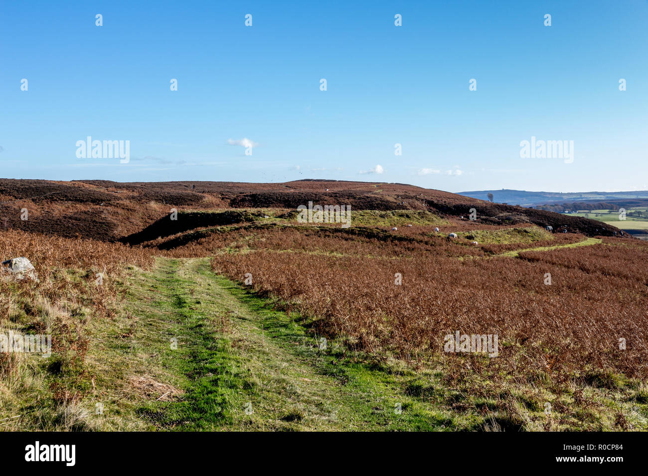 Iron Age Bewick Hill Moor Camp or Hill Fort, Bewick Moor, Northumberland Stock Photo