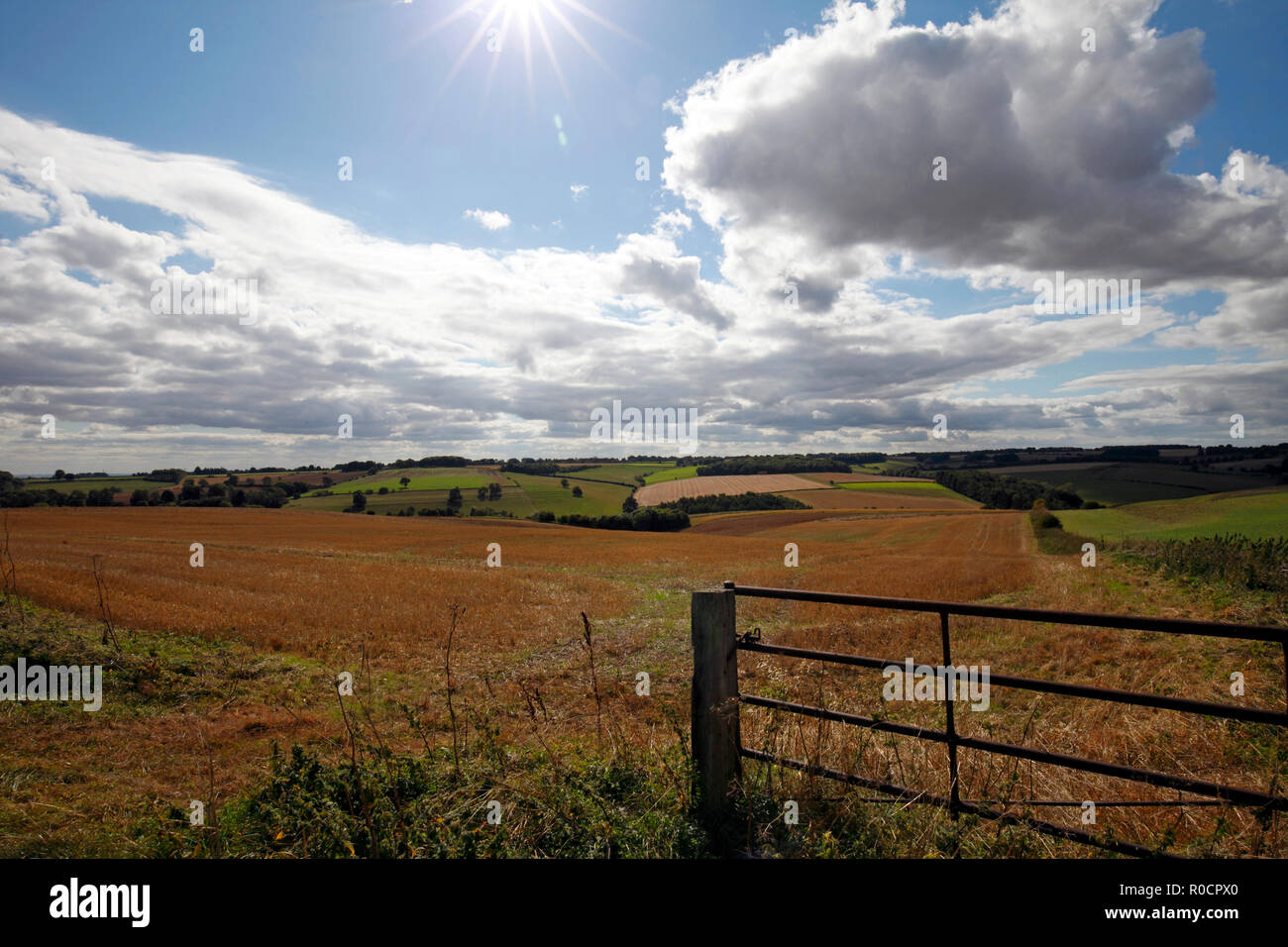 British countryside, country scene in the Cotswolds including a metal farm gate. Stock Photo