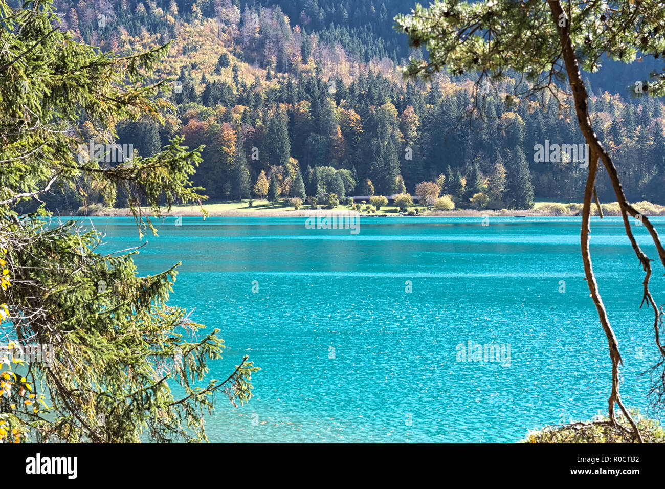 View of the turquoise-coloured lake 'Alpsee' and the Alpseebad from a path around the lake in autumn. Schwangau, Füssen, Bavaria, Germany Stock Photo