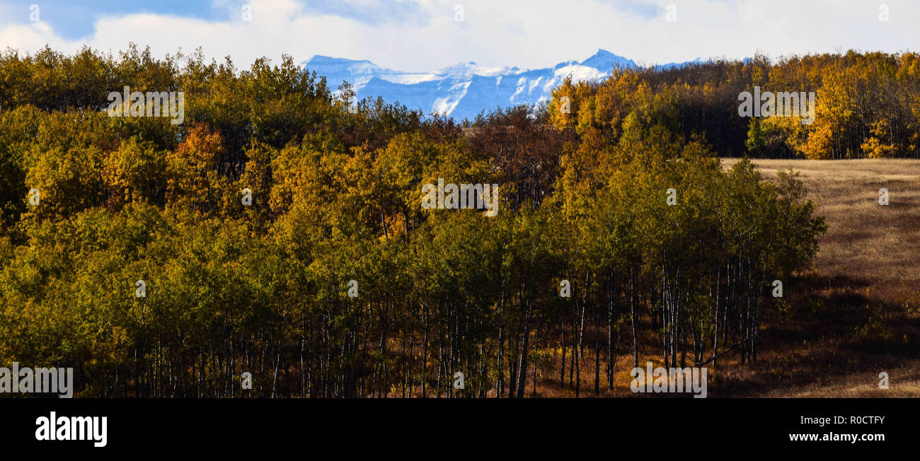 breath taking scenes in the Alberta wild Stock Photo