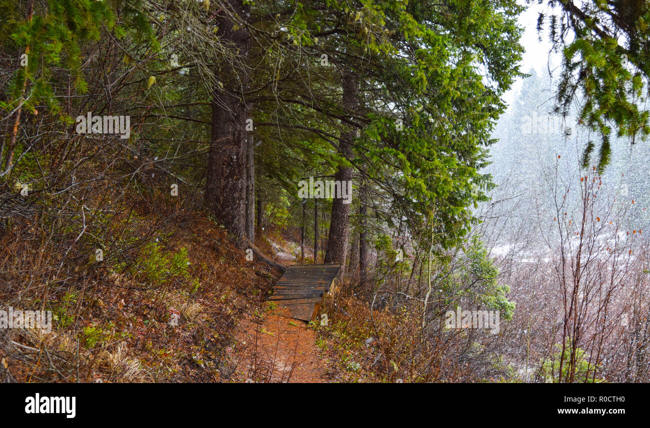 breath taking scenes in the Alberta wild Stock Photo