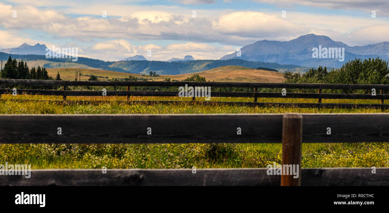 breath taking scenes in the Alberta wild Stock Photo