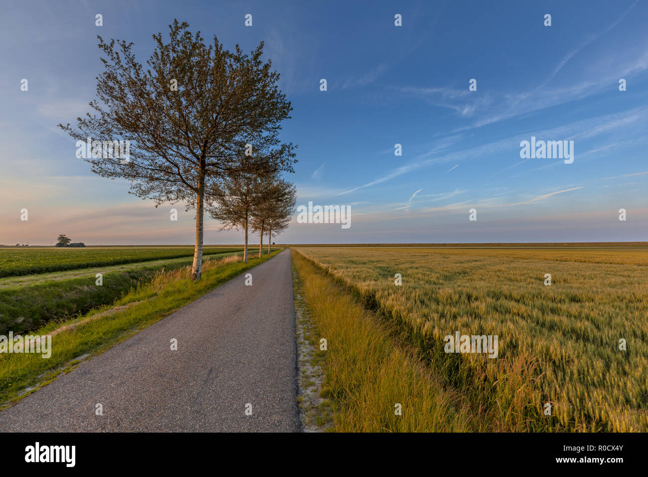 Long straight road in the Carel Coenraadpolder in the Oldambt area in the Netherlands Stock Photo