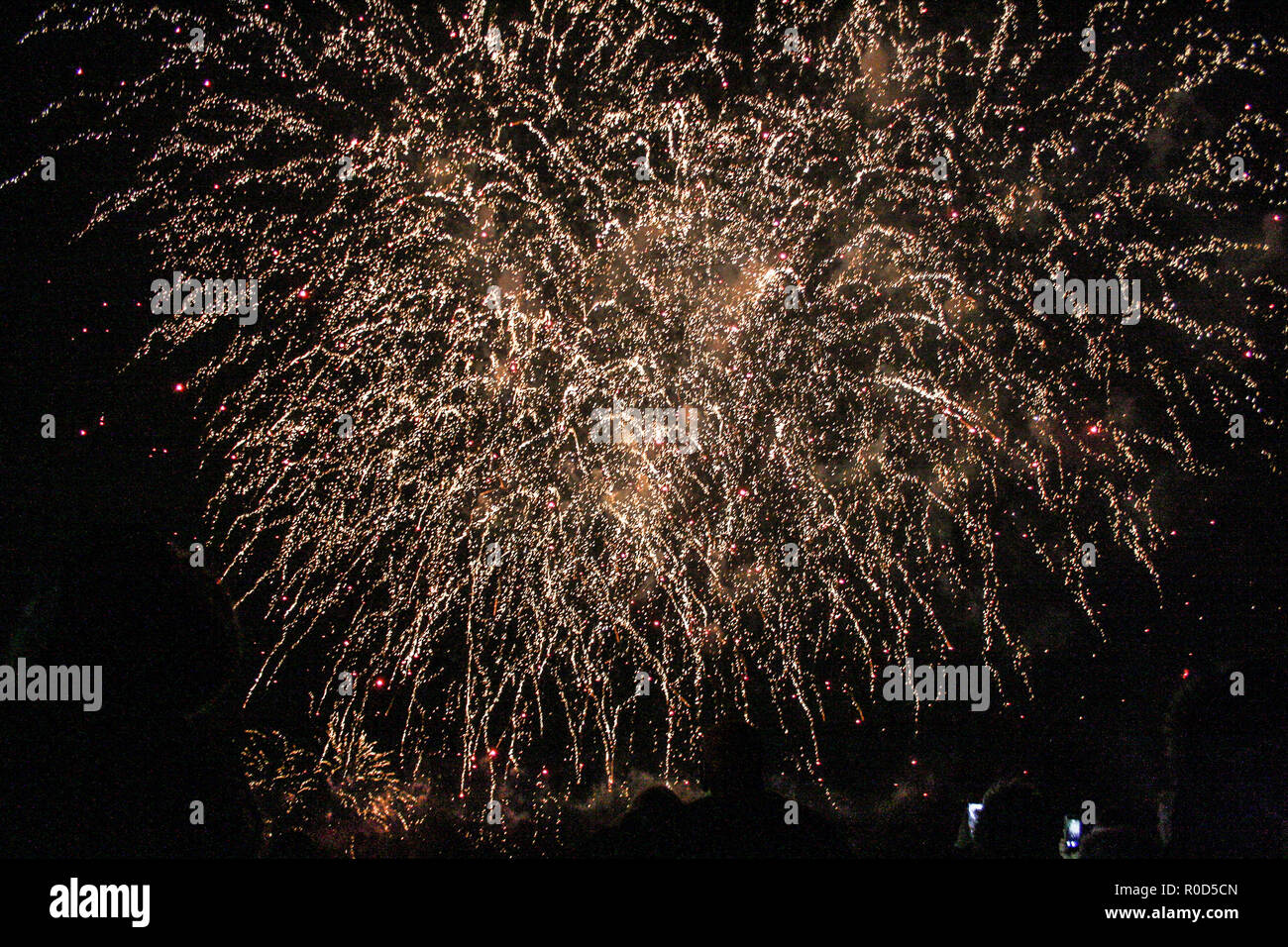 Dudley, West Midlands, UK. 3rd November, 2018. The Bonfire night and fireworks show at the Himley Hall and Park. Dudley, West Midlands - Birmingham area. Guy Fawkes night.  03 November 2018. Gunpowder Plot remembrance. Credit: Tempera Photography Studio/Alamy Live News Stock Photo