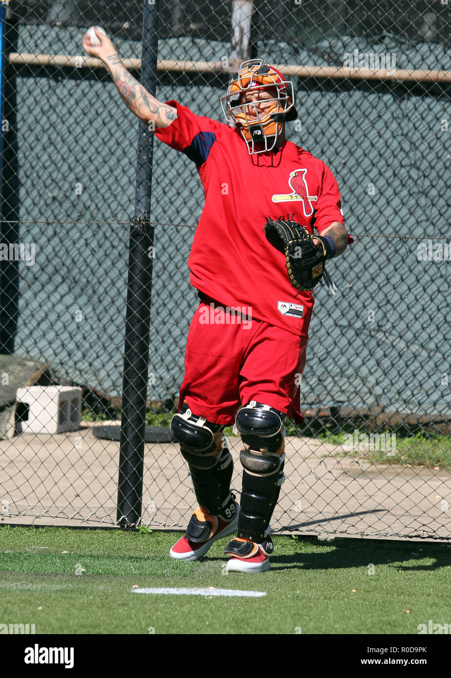 Yadier Molina 2018 Major League Baseball Workout Day