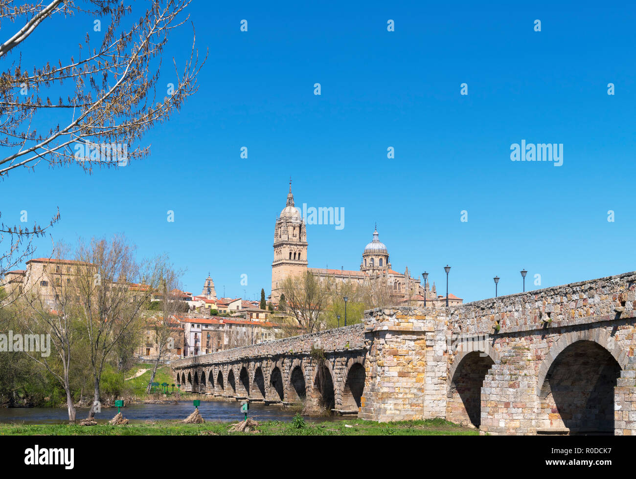 The Puente Romano (Roman Bridge) and view towards the old town and cathedrals, Salamanca, Castilla y Leon, Spain Stock Photo