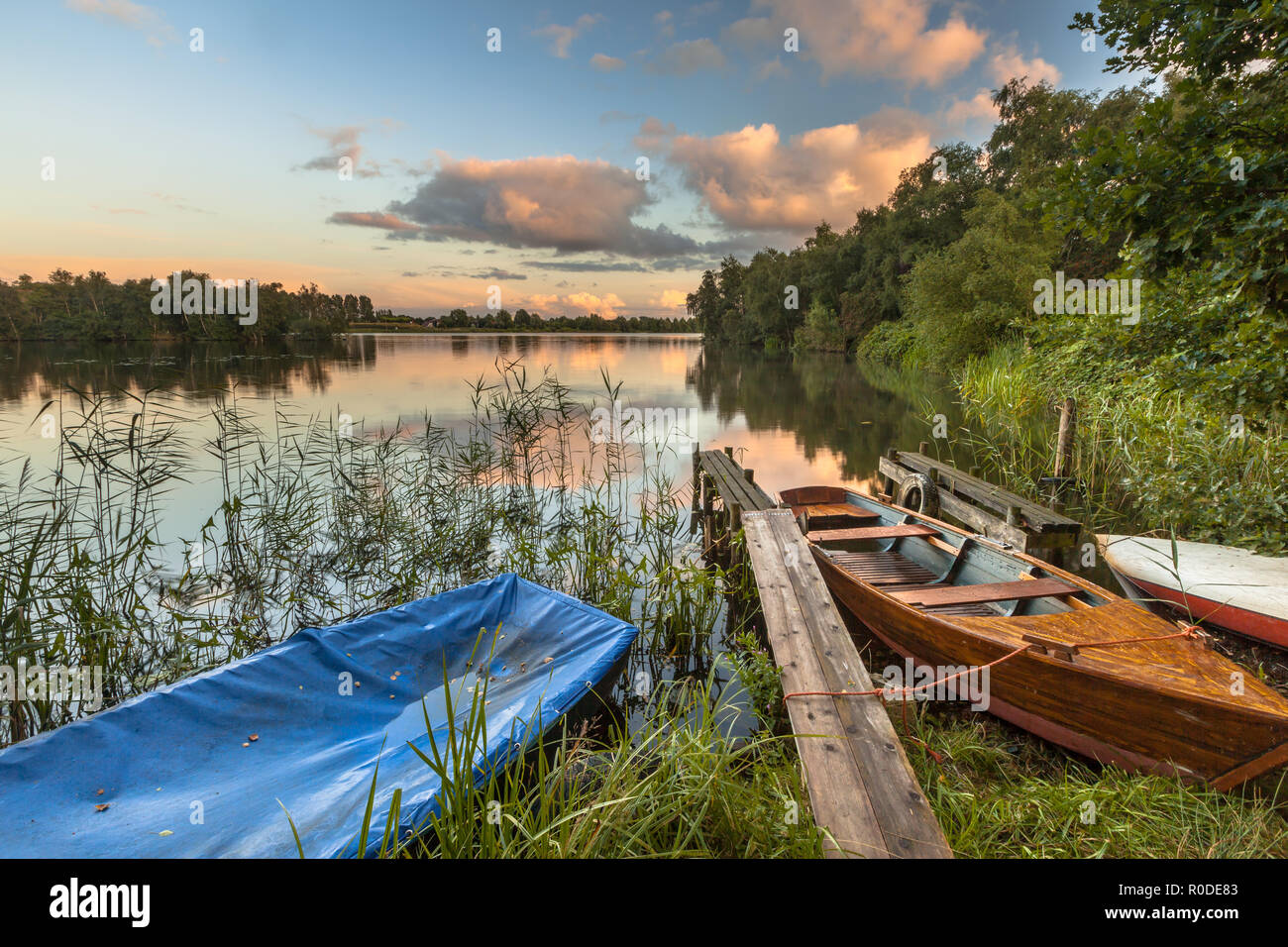 Rowing boats in the reeds on the lake shore during a beautiful summer ...