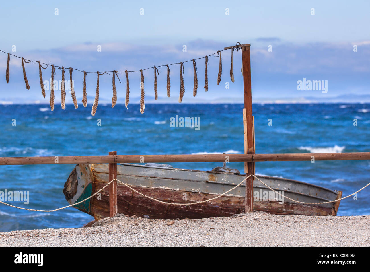 Arms of squid seafood drying in the sun above a rowing boat on lesbos island, Greece Stock Photo