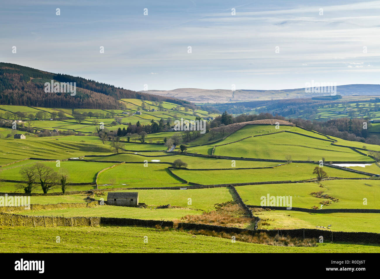 Under blue sky, longdistance picturesque view to Wharfedale (isolated barns & rolling green