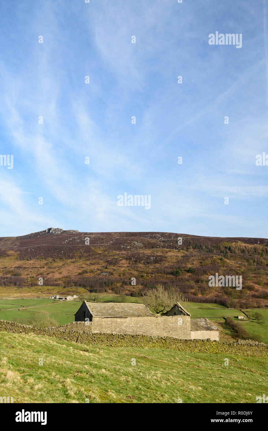 Under blue sky, view of Simon's Seat (high peak on distant upland moors) and derelict traditional stone field barn - Yorkshire Dales, England, GB, UK. Stock Photo