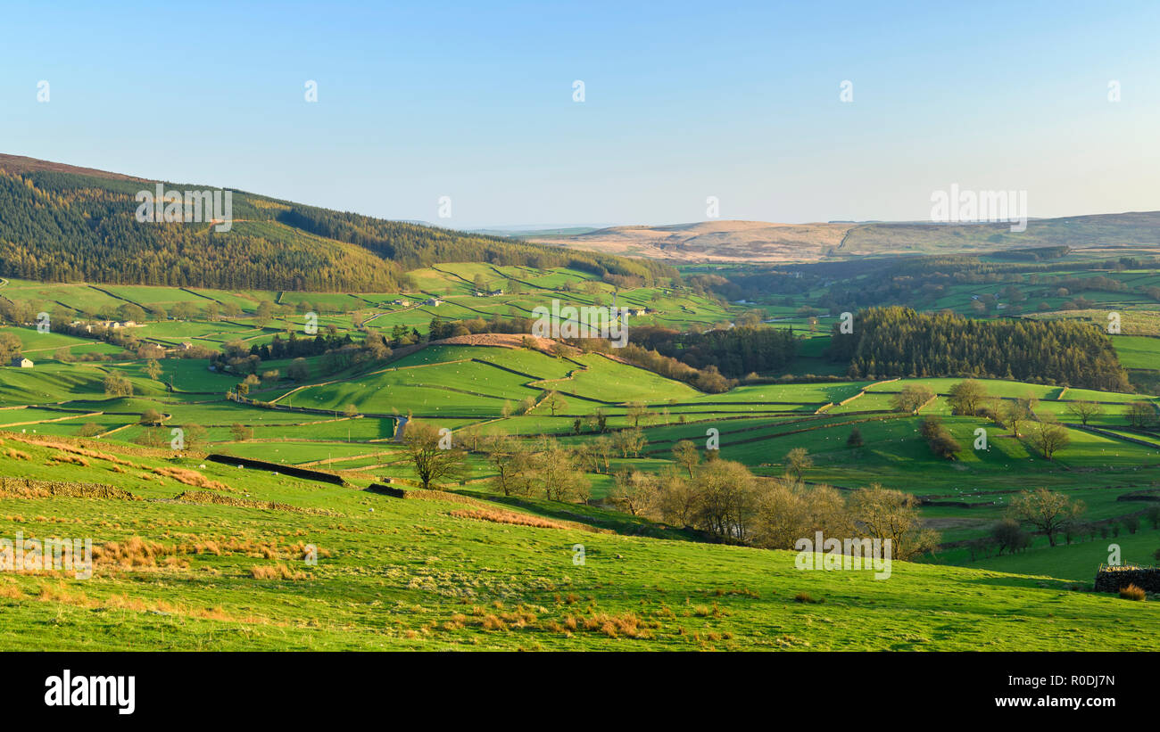 Long-distance picturesque view to Wharfedale (isolated barns, rolling green pasture, sunlit valley, walls, blue sky) - Yorkshire Dales, England, UK. Stock Photo
