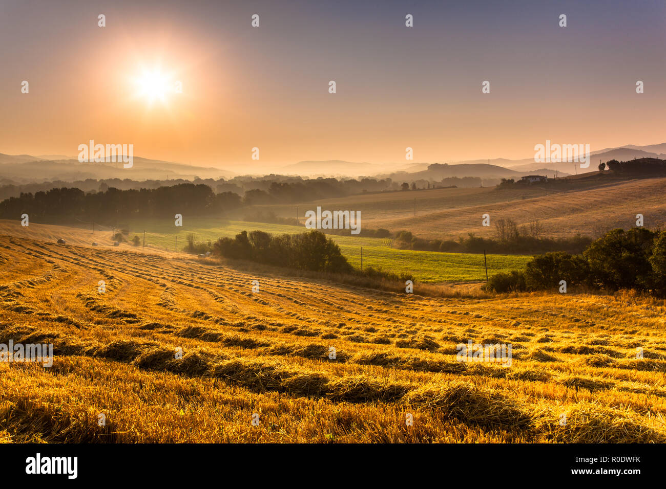 Tuscany Village Landscape near Pisa on a Foggy Morning, Italy Stock ...